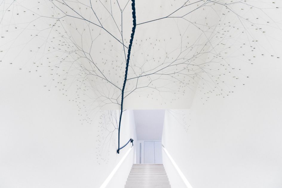 CICLOTRAMA 50 (wind). Photo credit: Janaina Mello Landini