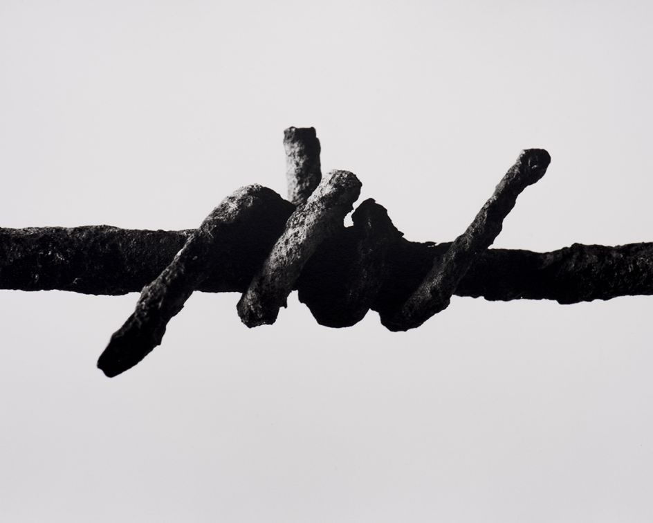 Wire from Serre. © Peter Cattrell