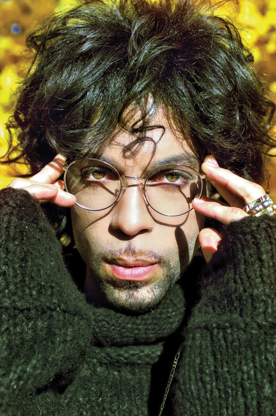 A Room Full of Glasses, Chanhassen Arboretum, 1999 © Steven Parke