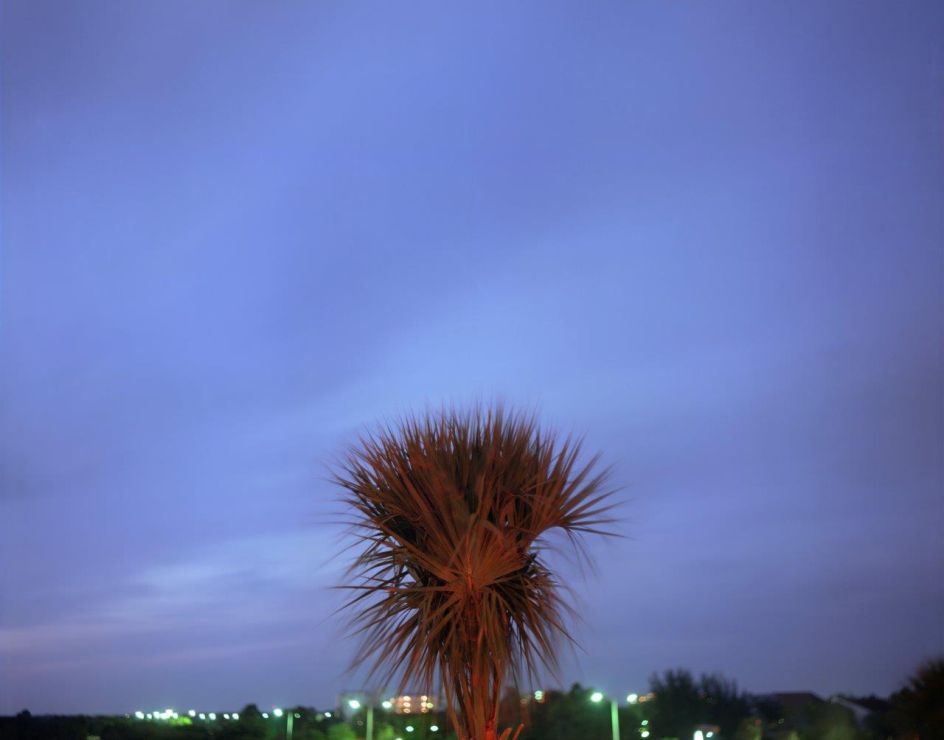 Florida, 1979 | Copyright Joel Meyerowitz, courtesy Howard Greenberg Gallery