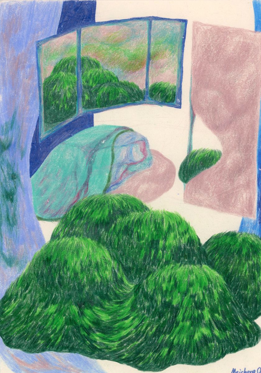 Meicheng Chi's dreamy pencil drawings help her to connect with her emotions