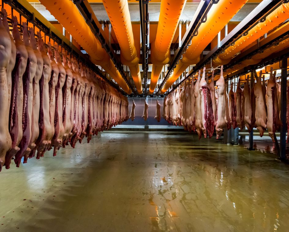 Horsens Slaughterhouse; Danish Crown, Denmark © Alastair Philip Wiper