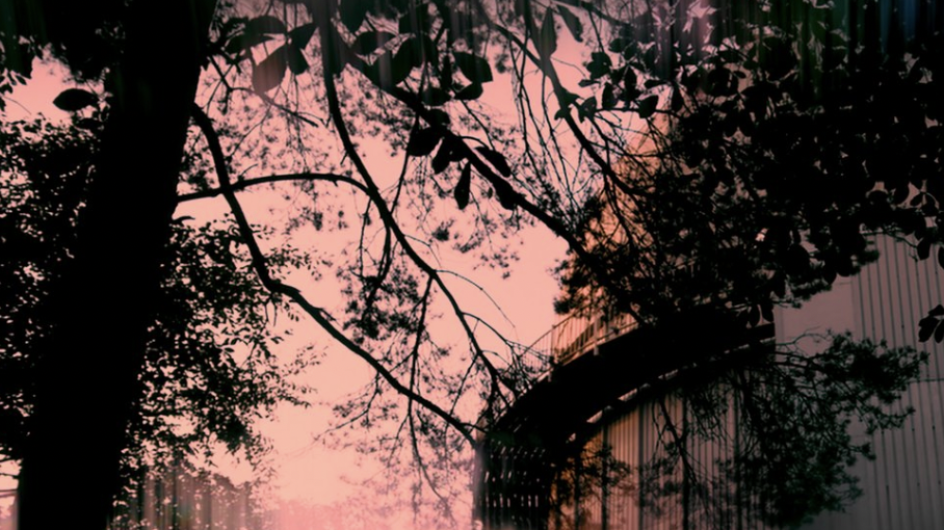 The Edge of Forever, 2022