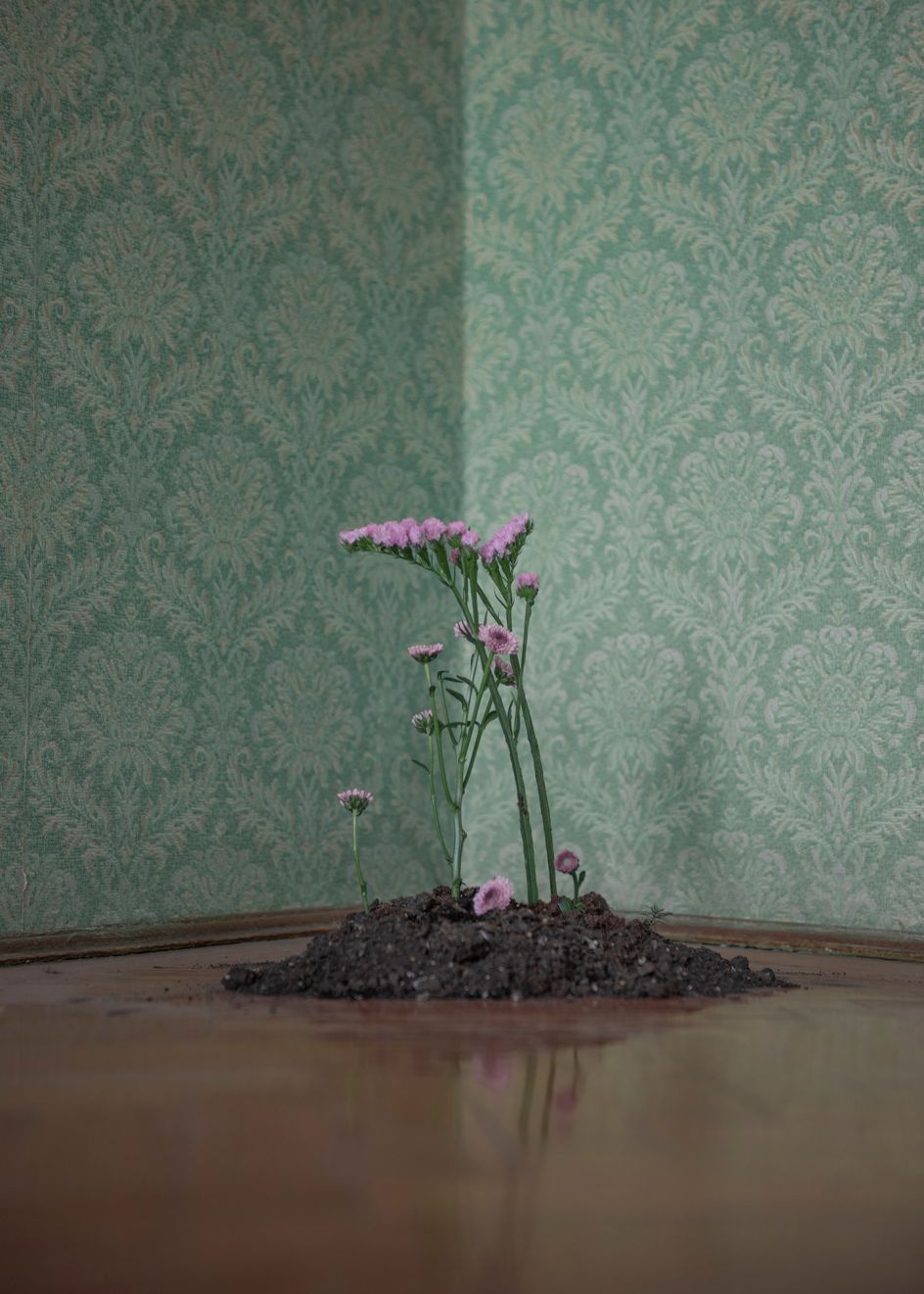 © Marietta Varga