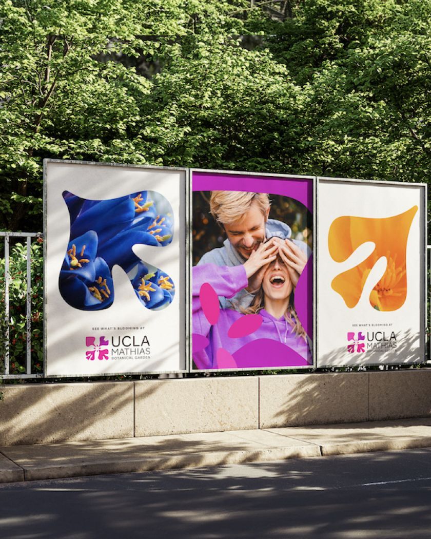 Native California flower informs UCLA Mathias Botanical Garden identity