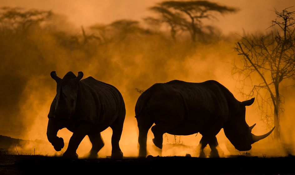 'Dust sunset' by Anna-Mart Kruger/Photocrowd.com - Namibia