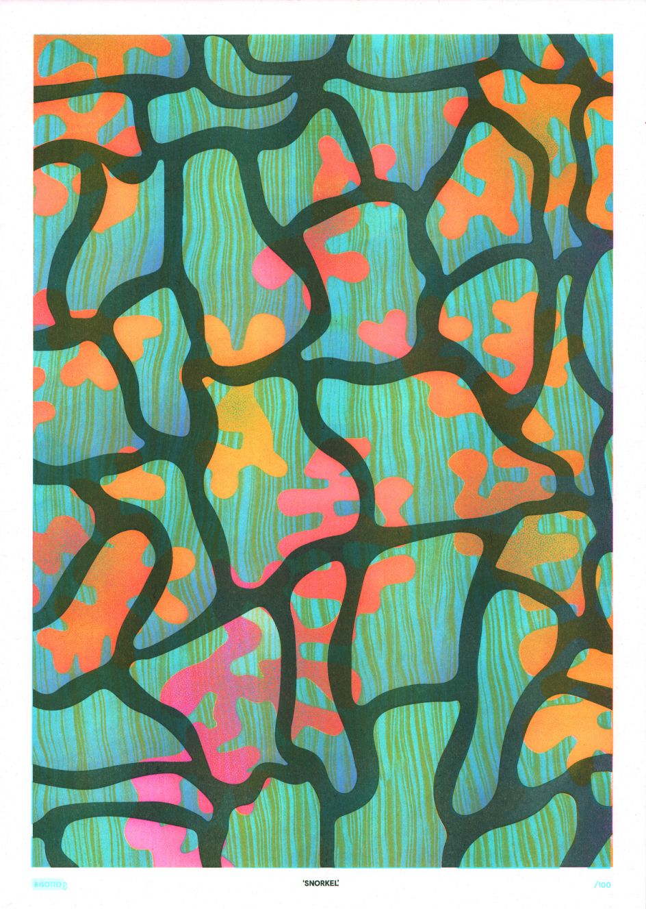 Risotto Studio, Snorkel