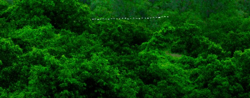Still from Green Screen, 2021 by Sojung Jun © 2026
