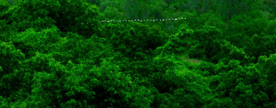 Green screen stills, 2021, by Sojung Jun © 2026