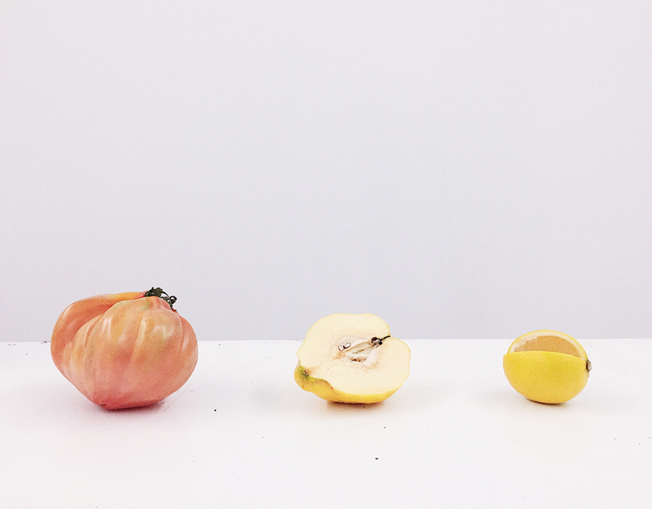 Tomate, Membrillo y Limón, Inês Neto dos Santos, Barbecho residency, Madrid 2017