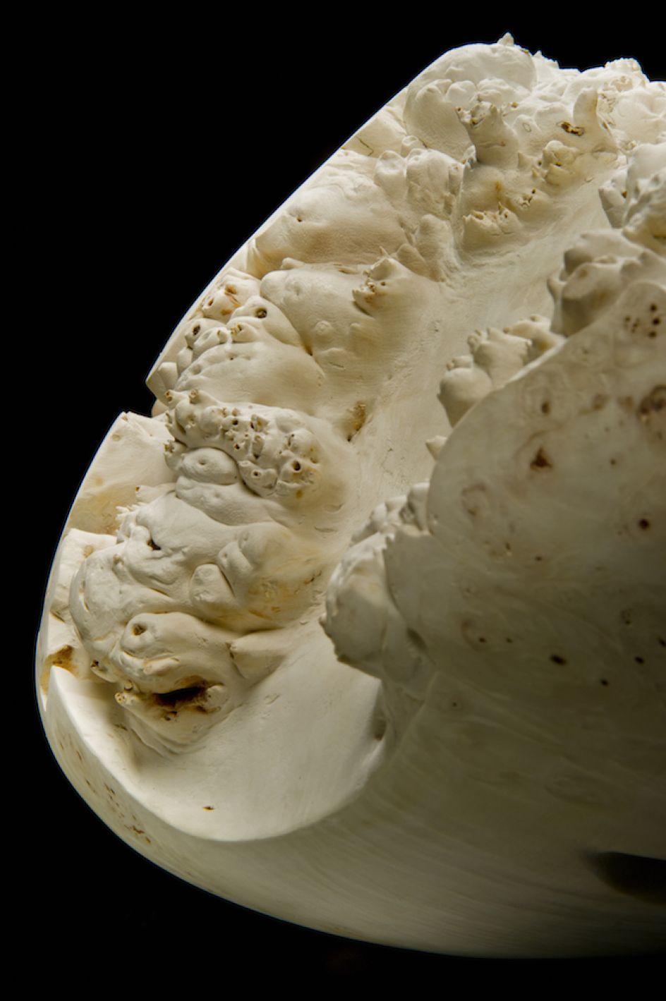 © Eleanor Lakelin. Image credit: Ester Segarra