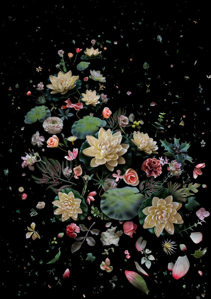 Mandy Barker, Hong Kong Soup Lotus Garden 2015 image courtesy of the artist.