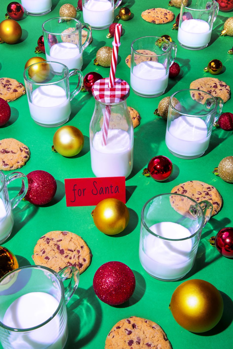 Santa Claus / Cookies and Milk - © Dan Bannino