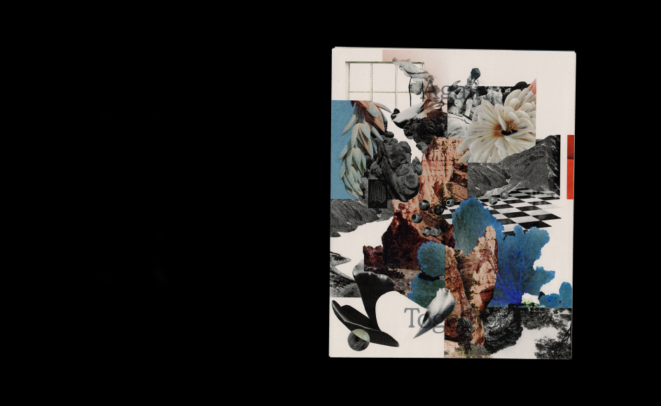 Shelby Guergis, Again, Together