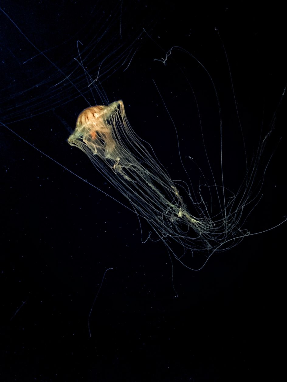 Lola Kay Kiev, Ukraine, Life. The Beginning. © Lola Kay, 2017