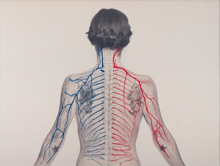 Image courtesy of Michael Hoppen Gallery