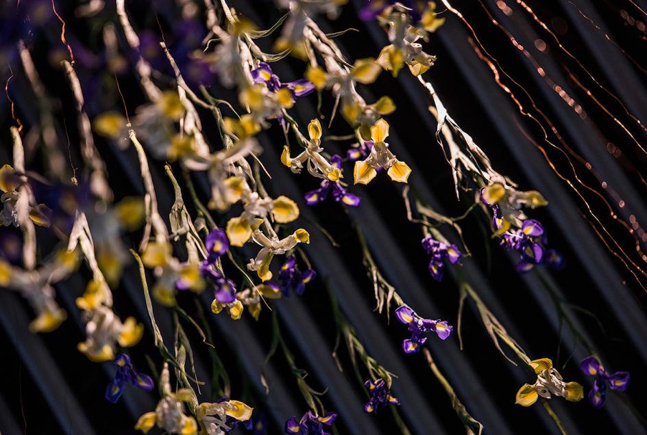 Photography @ Charles Emerson