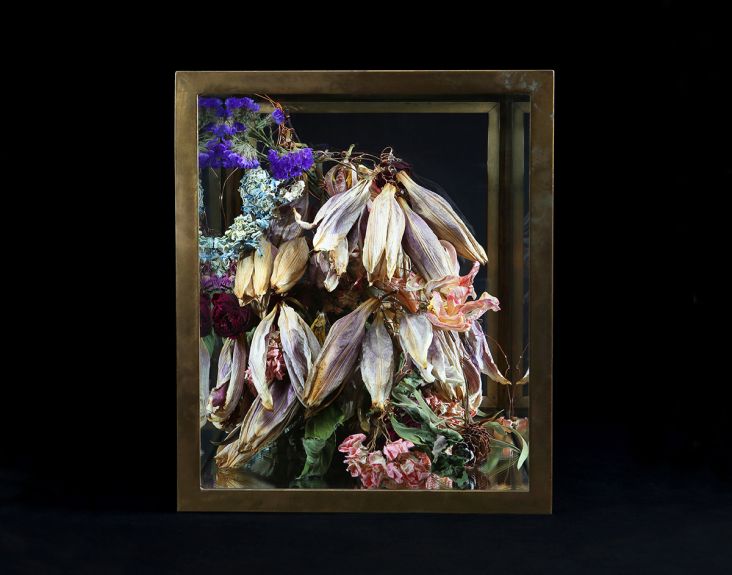 © Rebecca Louise Law