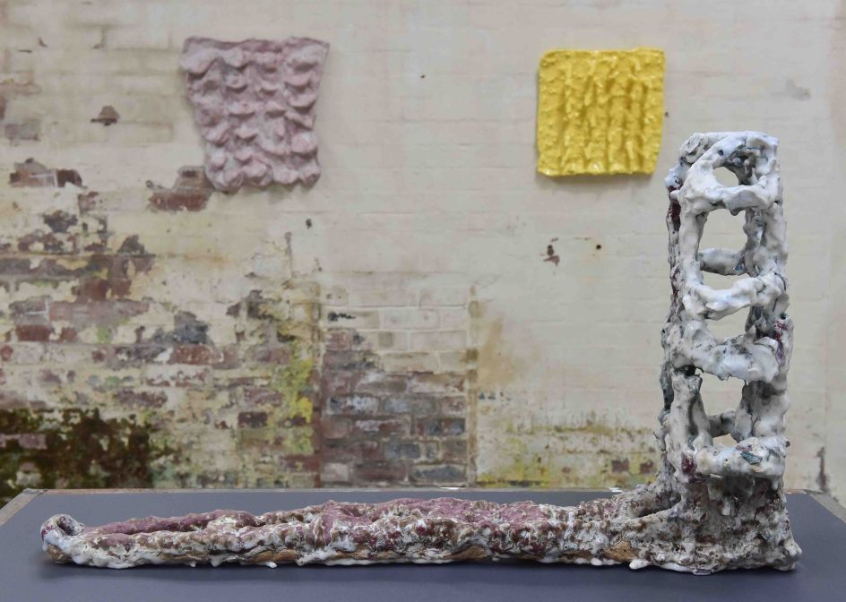 Zoe Lloyd, Inbetweenness, 2017, photo Joel Fildes