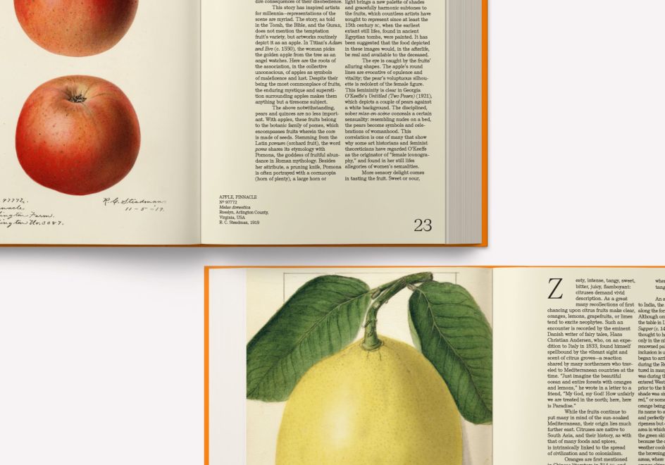 If everyone's a fruit and nutcase, why not feast your eyes on a