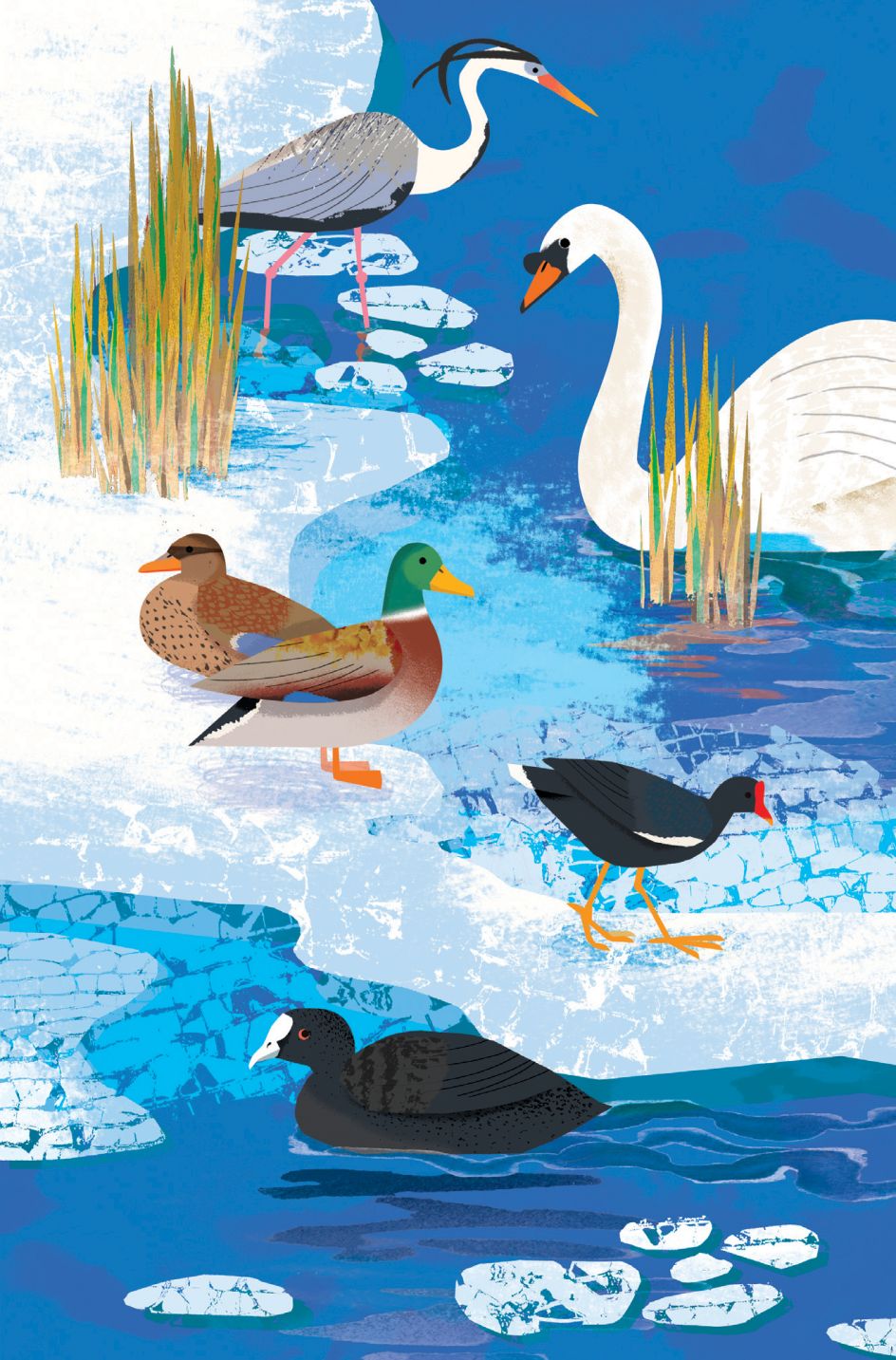 Natasha Durley and Elizabeth Jenner: What To Look For series (Copyright © Ladybird Books, 2021)