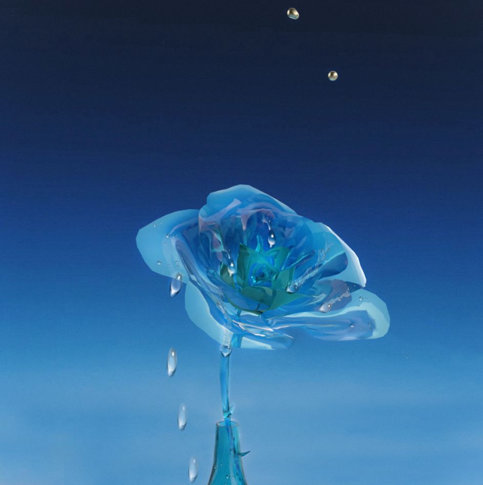 Crying Rose © Hanna Hark