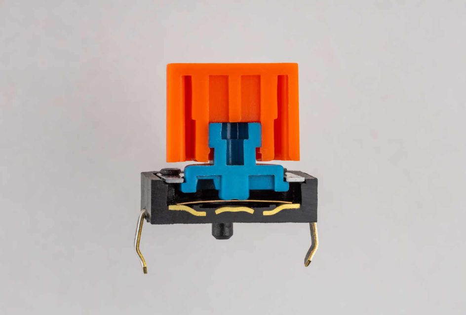 Cross section through a tactile switch © Open Circuits. Photography by Windell Oskay