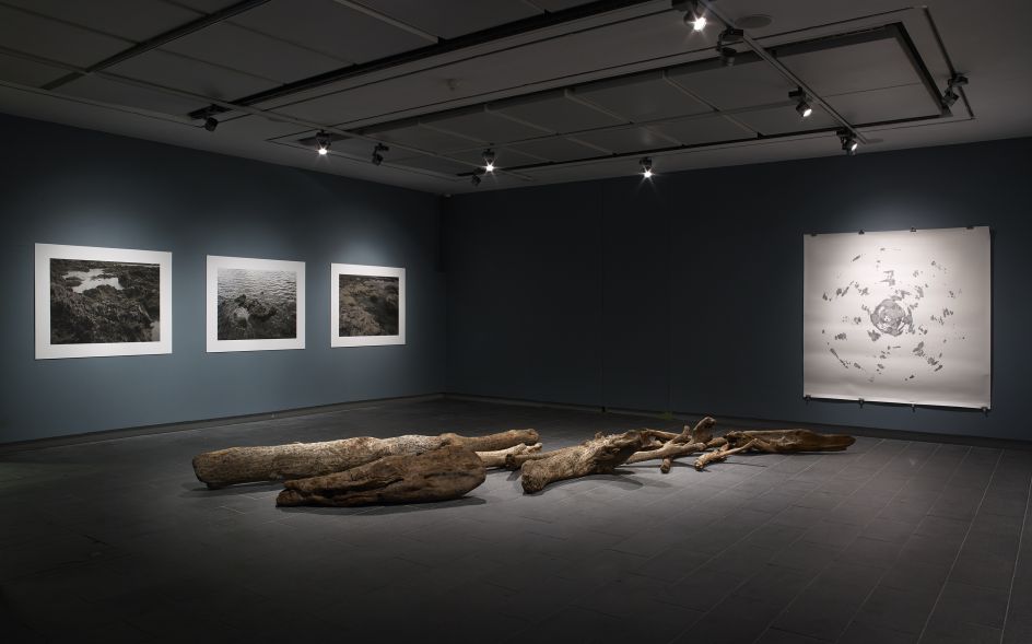 Charwei Tsai - Bulaubulau at CFCCA (2018). Photo by Michael Pollard.