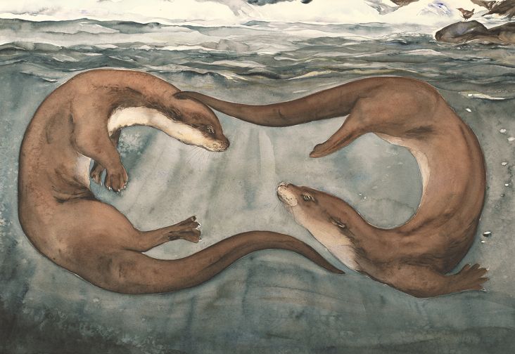 Jackie Morris, Otter, 2017 © Jackie Morris