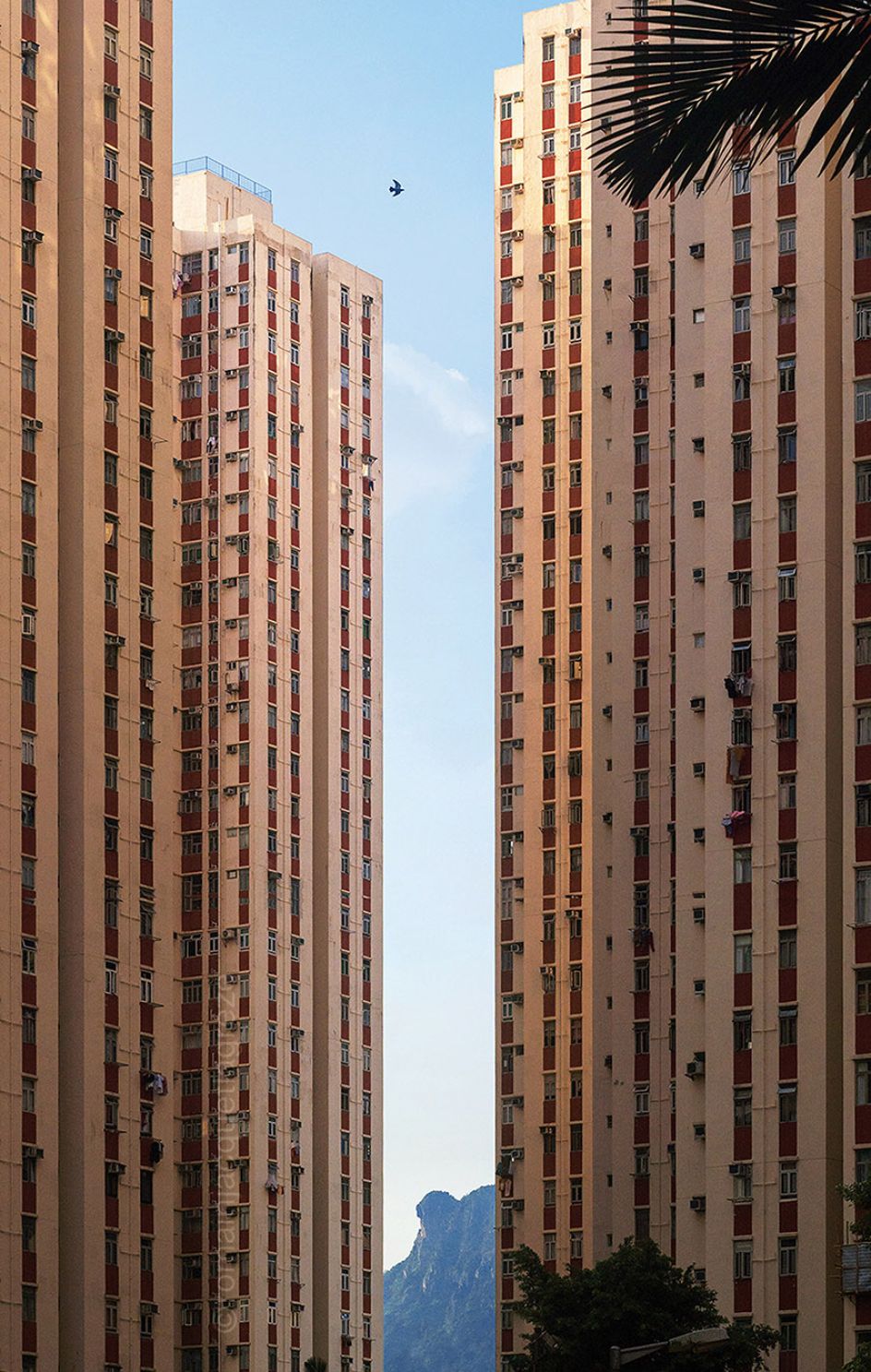 © Romain Jacquet-Lagréze, Narrow Opening, Hong Kong 2020, Courtesy of Blue Lotus Gallery