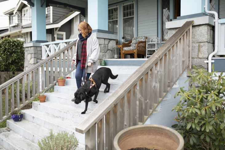 All images courtesy of Getty Images