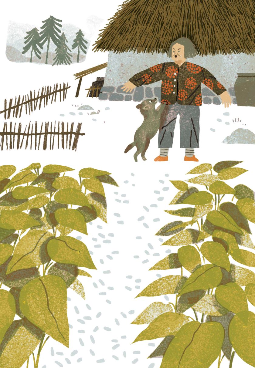 Illustrator Wenjia Tang's first fiction book is a beautiful exploration of mankind's relationship with nature