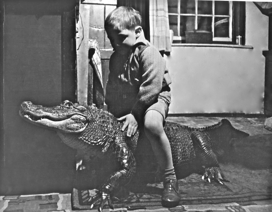 Pen Densham rides a crocodile in short film 'Strange Cargo'