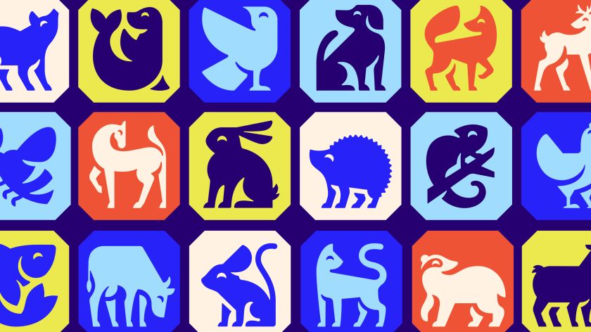 JKR overhauls RSPCA’s identity to align with its newly defined purpose