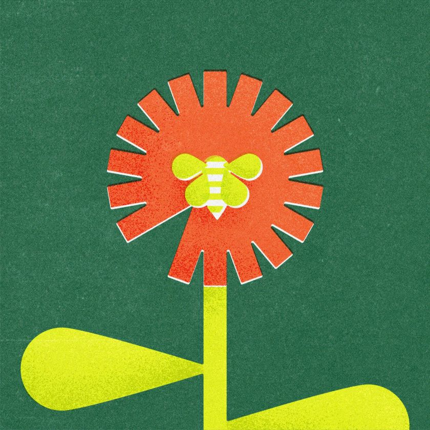 Scorpion Rose Studio rebrands kids' accessories brand Goldbug with nuanced nostalgia