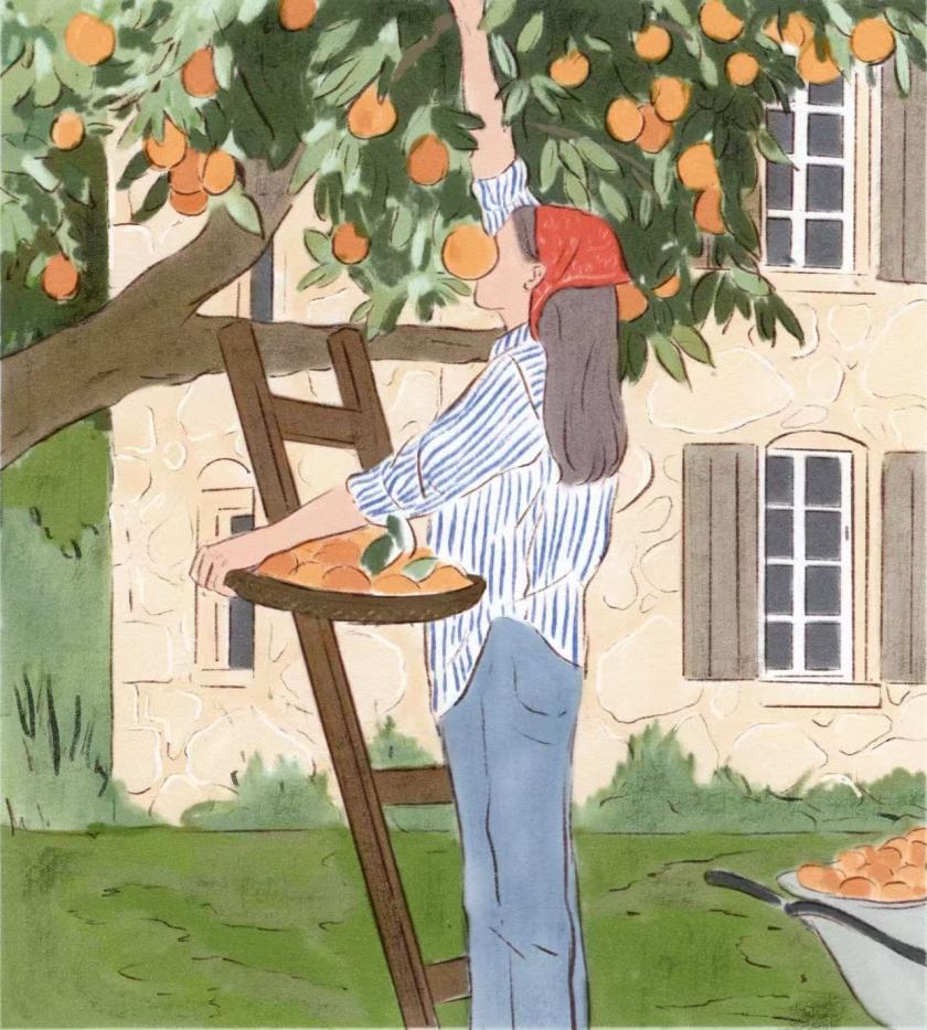In the Shade of the Orchards, Telo Magazine