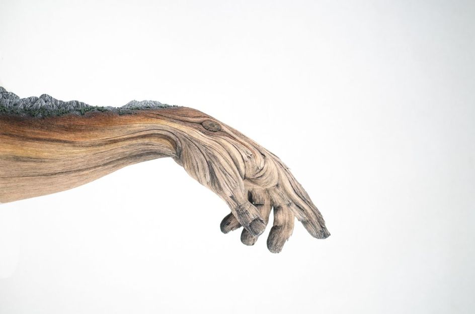 Within Arm's Reach | Christopher David White