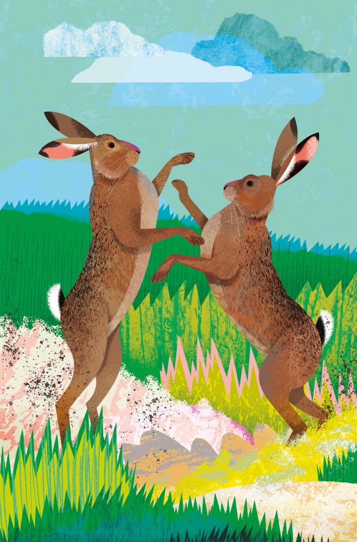 Natasha Durley and Elizabeth Jenner: What To Look For series (Copyright © Ladybird Books, 2021)