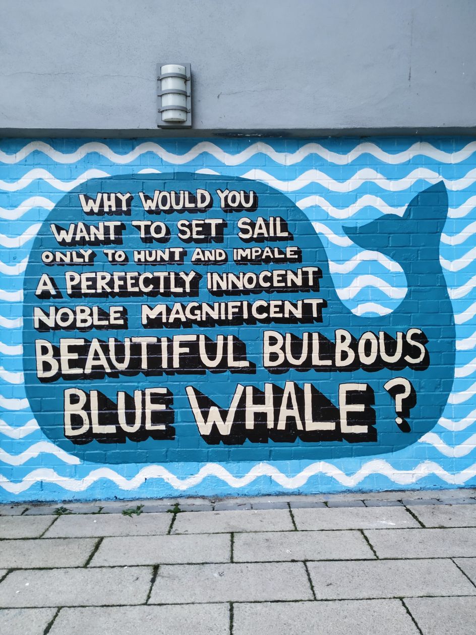Whale Mural at Gnome House © Angry Dan