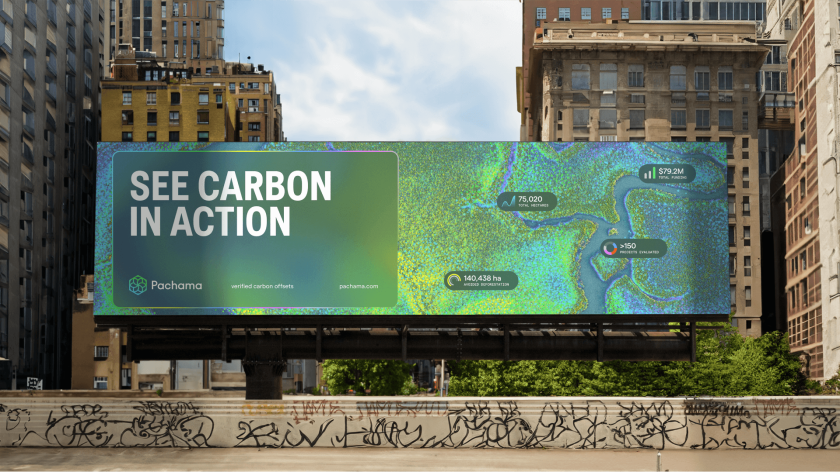 How&How Studio rebrand of Pachama helps shake up the carbon capture industry