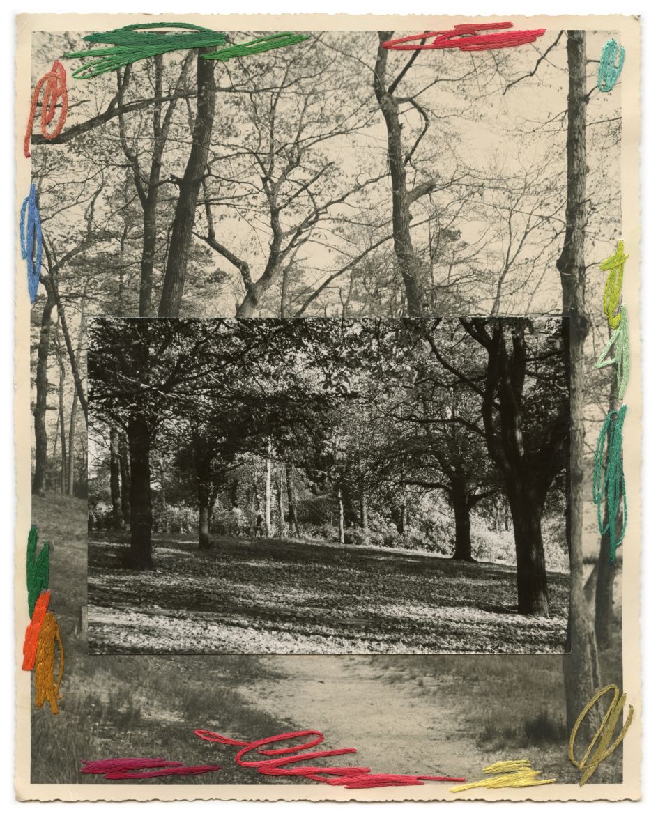 Julie Cockburn Clearing 1, 2020 © Julie Cockburn Courtesy of The Photographers’ Gallery