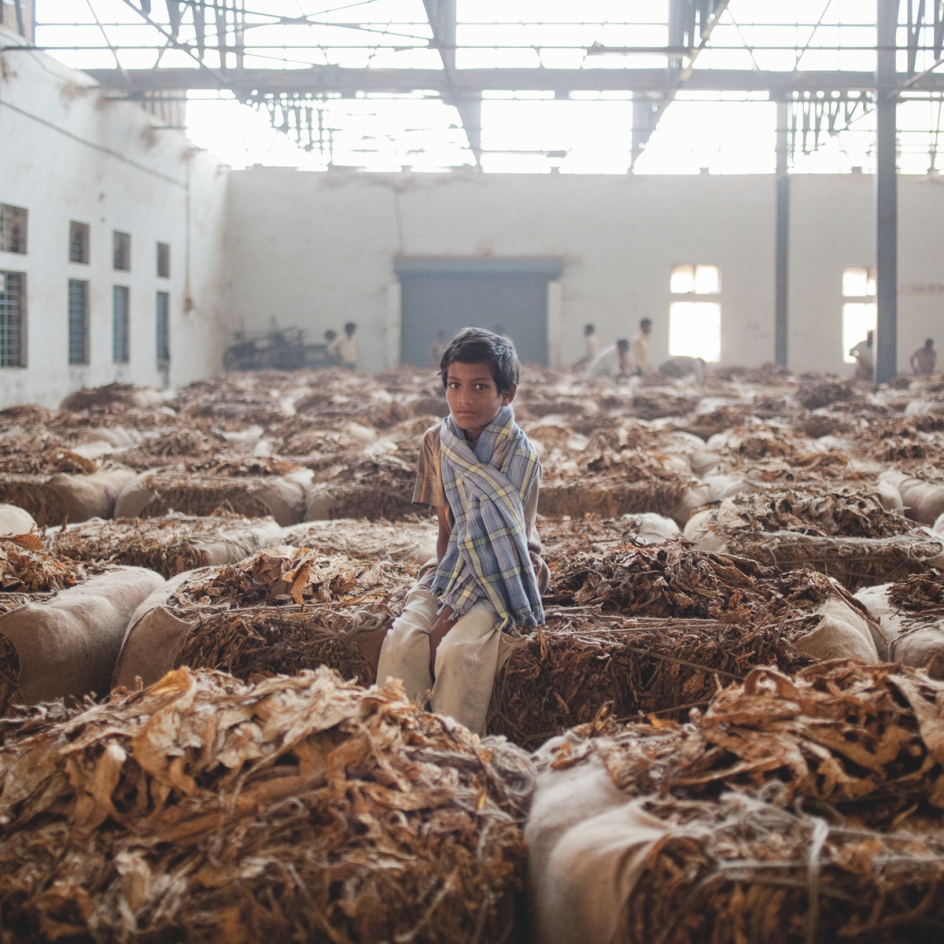 Periyapatna, India A farmer’s child sitting on a tobacco bale on the floor of a tobacco auction house. © Rocco Rorandelli