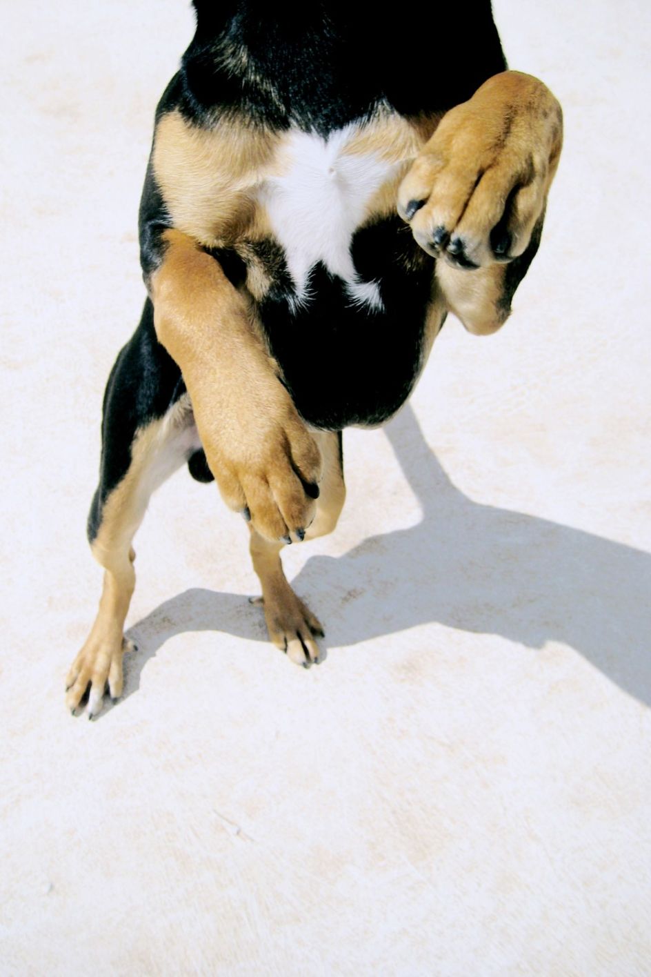 Alexis Vasilikos, Balancing Act, courtesy of CAN Christina Androulidaki Gallery