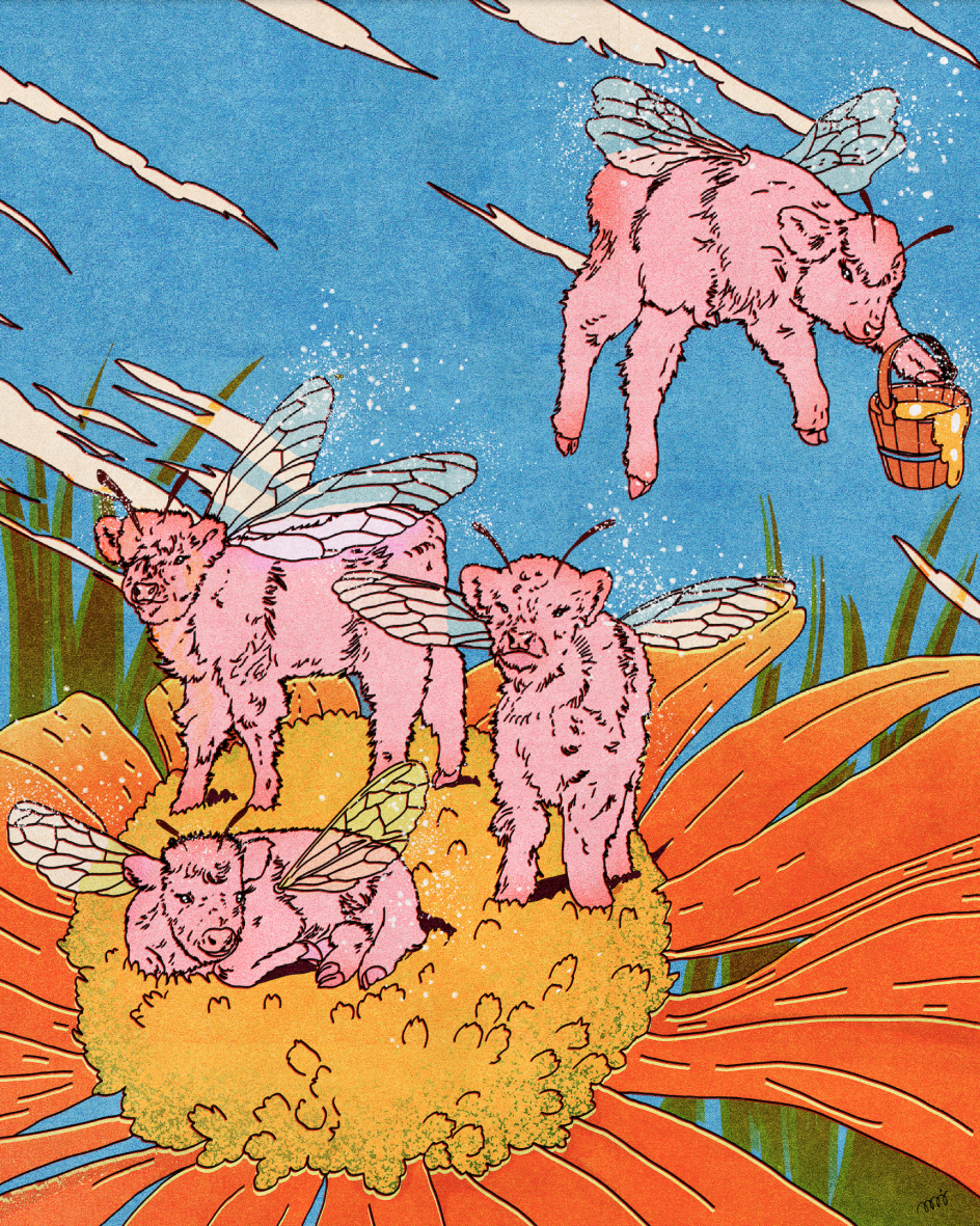 © María Jesús Contreras