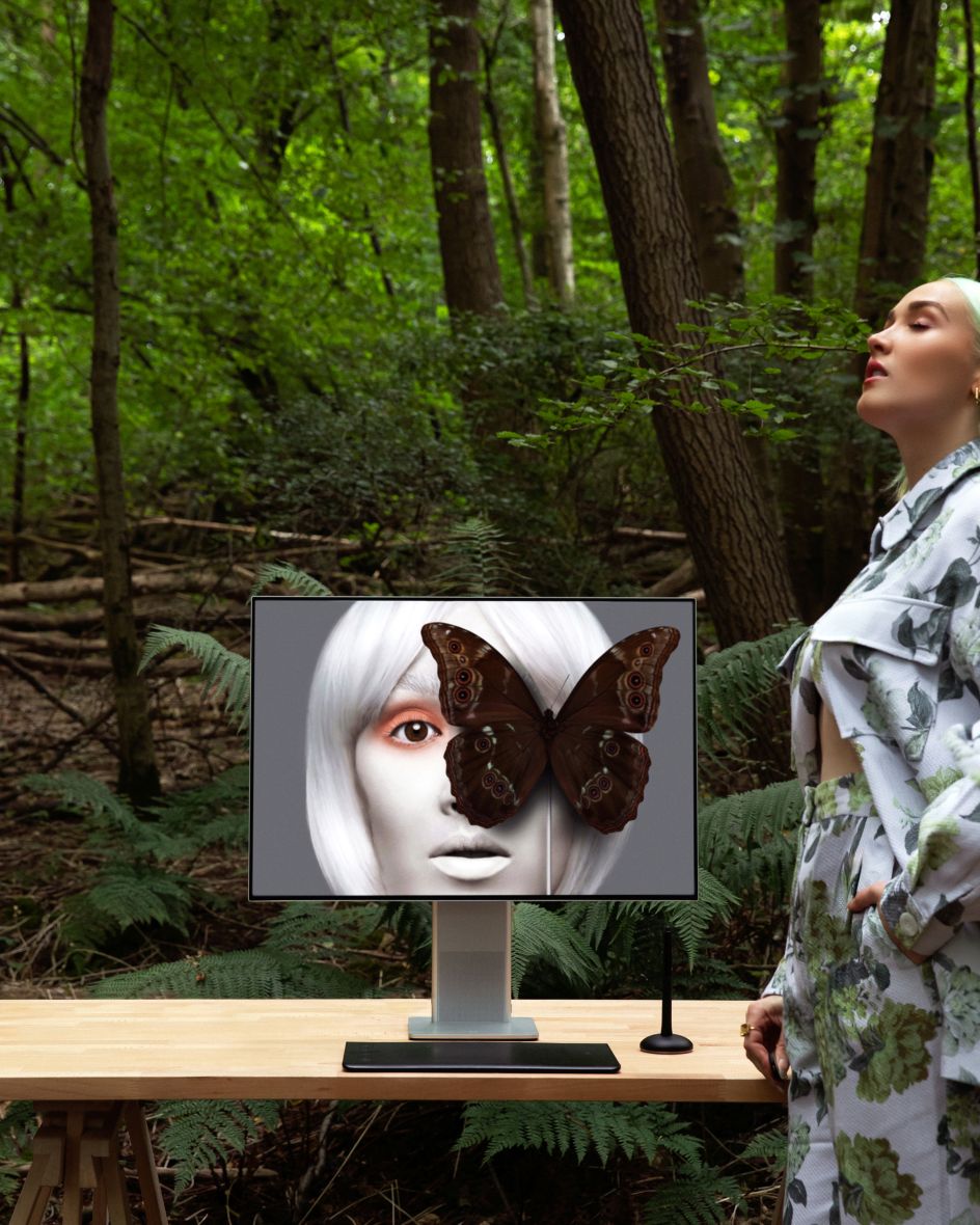 Enter My Imagination © Claire Luxton