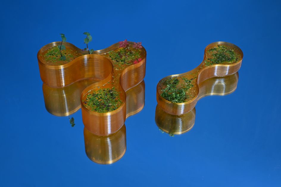 Seaweed Cycle by Studio Klarenbeek.