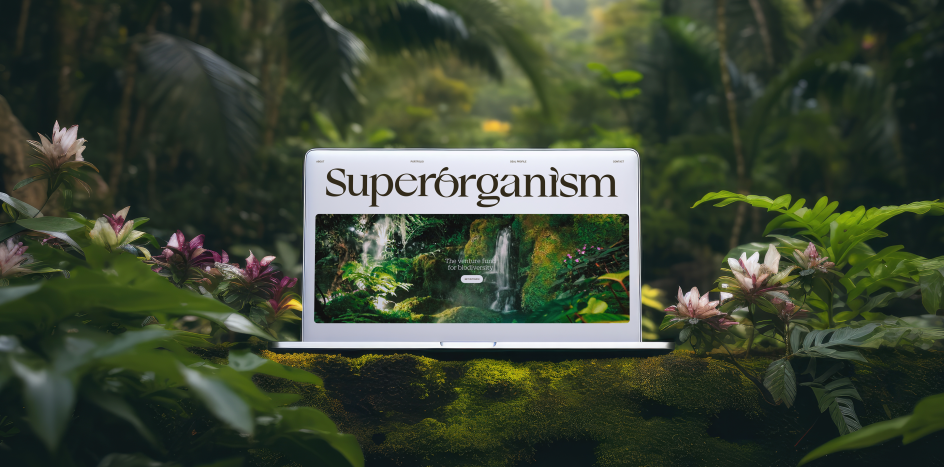 Work by Goodside Studio for Superorganism