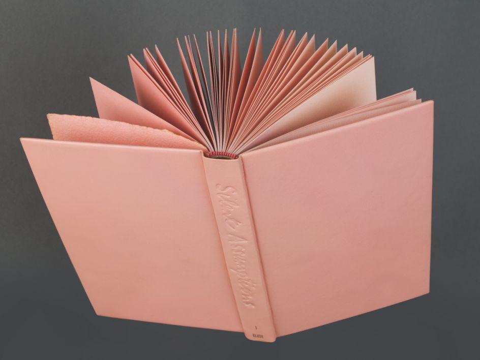 Rose Finn-Kelcey,Blushing Book Vol1, 1977