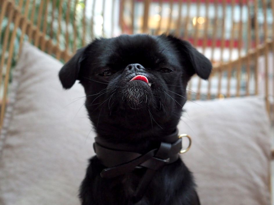 Bill Murray at Isobar