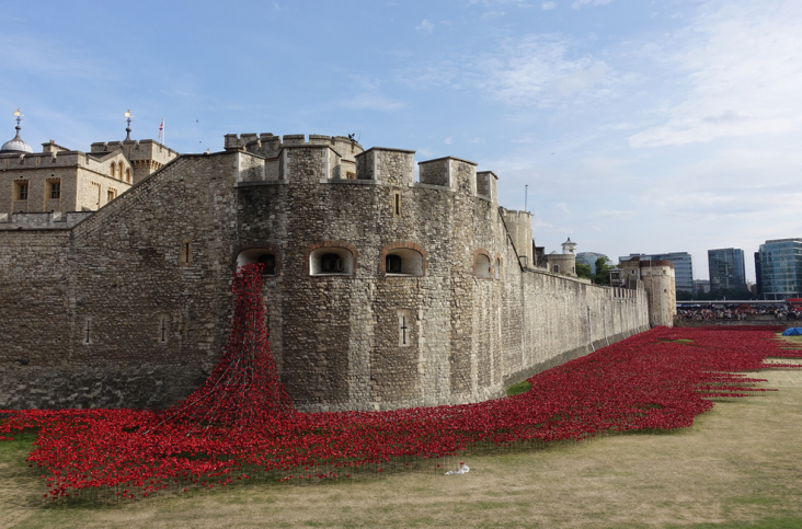 All images courtesy of Johnson Tiles